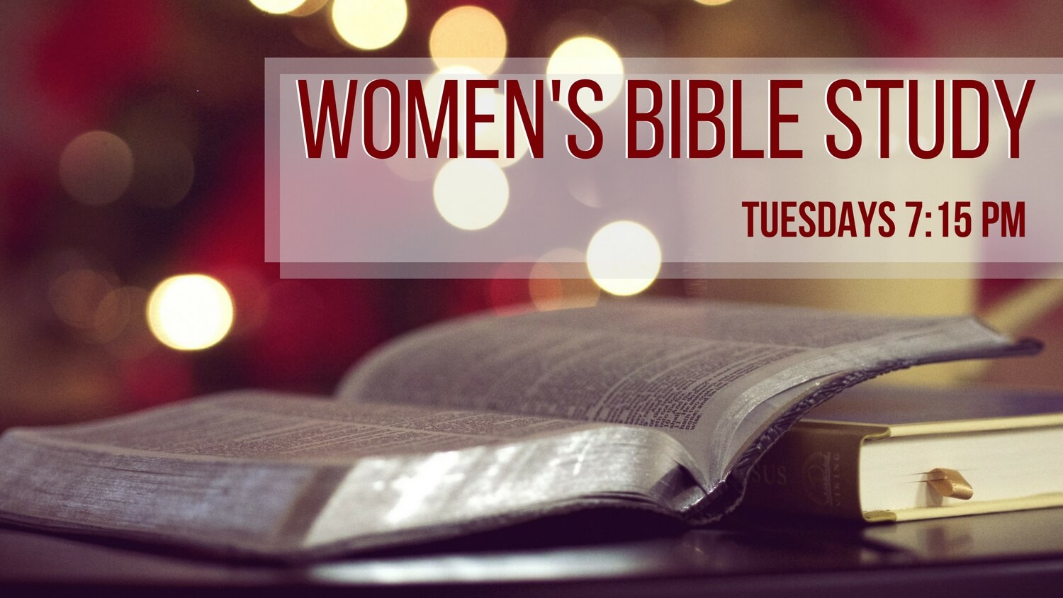 Women’s Bible Study 27 OCT 2020